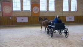 The Amazing Race - Season 38 Episode 04